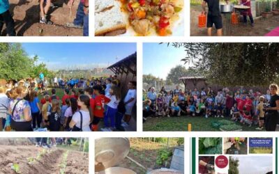Projecte Slow Food Educa: Col de paperina