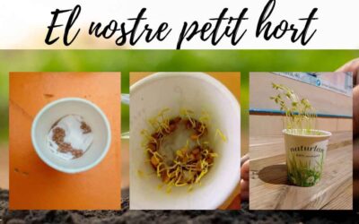 Projecte el nostre petit hort