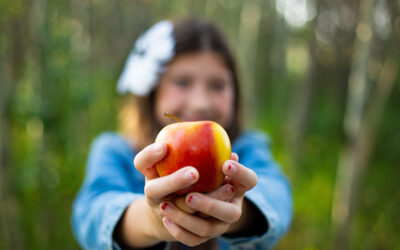 Tornar a la rutina amb energia: consells per a una alimentació equilibrada després de les vacances